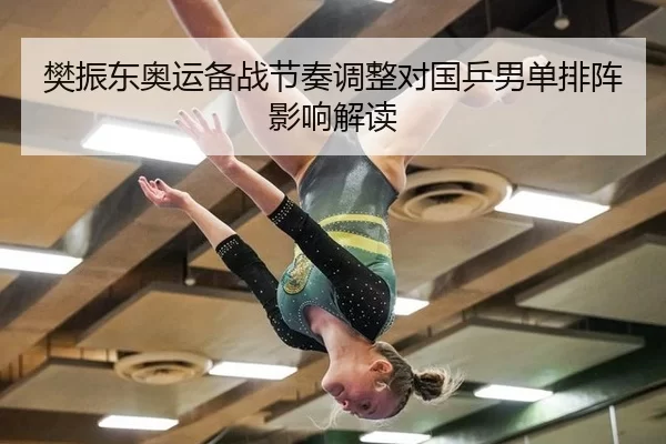 樊振东奥运备战节奏调整对国乒男单排阵影响解读